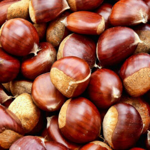 CASTAÑAS