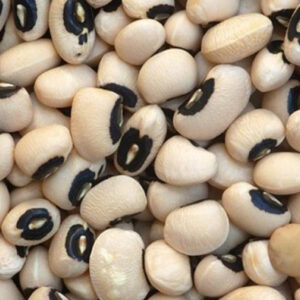 FRIJOL CASTILLA