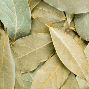 HOJA DE LAUREL