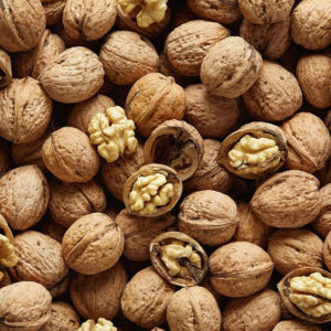 NUECES