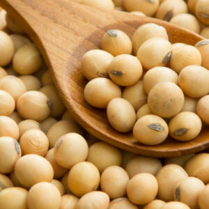 SOYA ENTERA